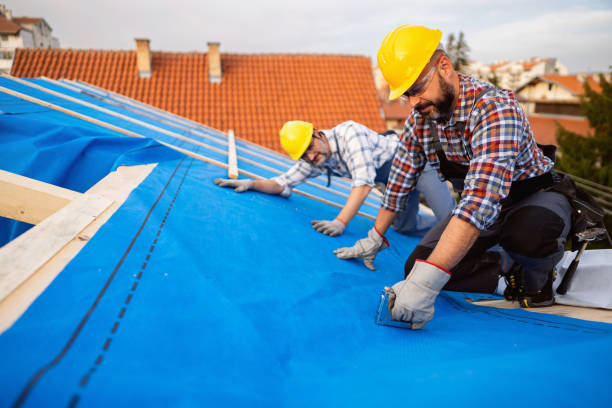 Best Gutter Installation and Roofing  in Camn, DE