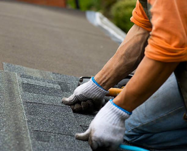 Best Metal Roofing Contractor  in Camn, DE