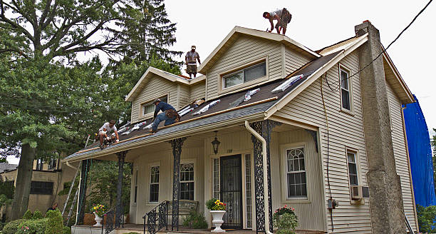 Best Shingle Roofing Installation  in Camn, DE