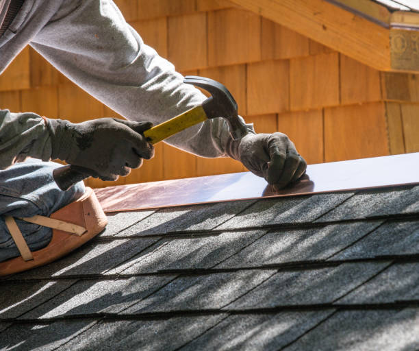 Best Roof Gutter Cleaning  in Camn, DE